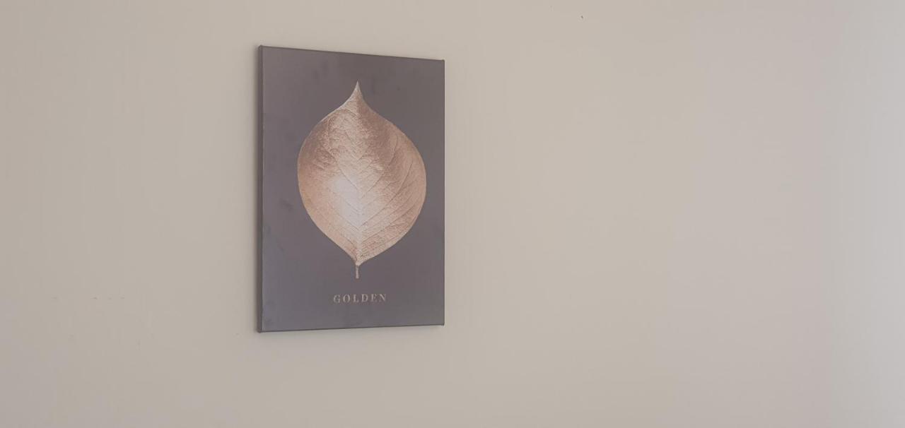 Leicester City Apartments Ngoại thất bức ảnh